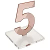 OnDisplay Luxe Laser Cut Mirrored Acrylic Wedding/Party/Event Table Numbers - 5" Tall Modern Thick Mirror Set (Rose Gold, 1-10) 1 OnDisplay Luxe Laser Cut Mirrored Acrylic Wedding/Party/Event Table Numbers - 5" Tall Modern Thick Mirror Set (Rose Gold, 1-10) -OnDisplay store Belk 600